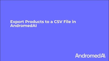 Exporting Products from AndromedAI to a CSV File