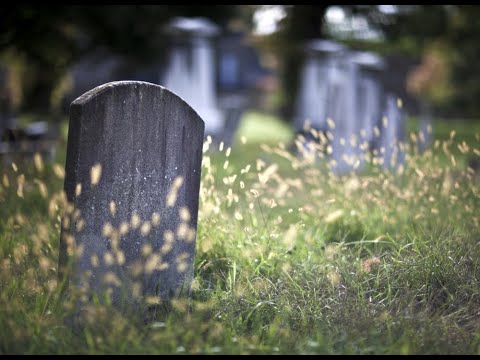 Video: Zašto Sanja Groblje