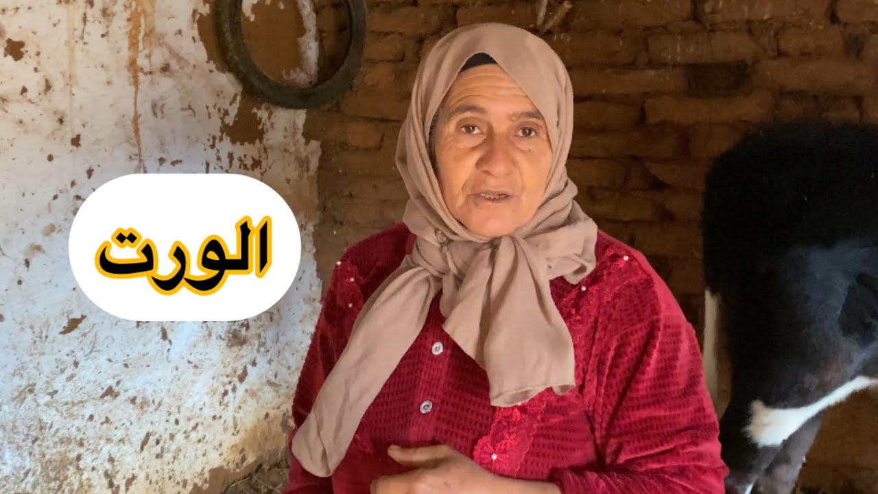 مي مريم : عطي لختك حقها فالورت