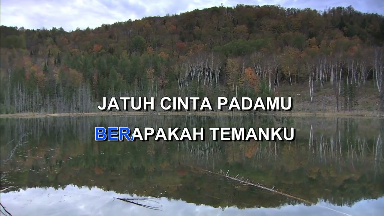 PETUALANG CINTA BILLBROD Indonesian Malay Karaoke