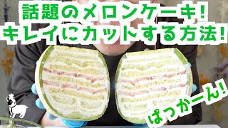 【カトちゃんねる】話題のまるごとメロンケーキを綺麗にカットする方法