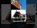 Meadow Walker Honors Paul Walker During Emotional Fast Furious Celebration #MeadowWalker #PaulWalker