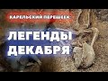 Забытый всеми солдат и исчезнувший самолет/Раскопки Второй мировой войны