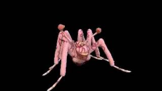 Spore Spider Head of Norris