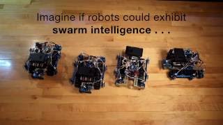 Swarm Technology, Ants, Robots, IoT and Parallel Processing