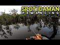 SURGANYA MANCING IKAN TOMAN BUNGA ( IKAN KERANDANG )