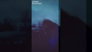 we own the night wolf pack tiktok theme