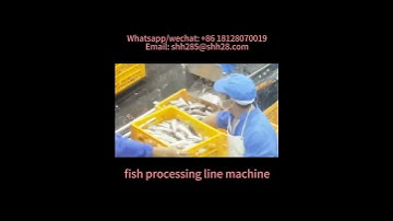 Automatic fish processing line machine fish fillet cutting machine fish cleaning machinery