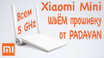 Wi-Fi Роутер Xiaomi Mi router Mini. Прошивка Padavan (XRMWRT)