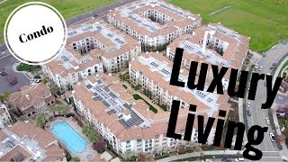 Luxury Condo! 3360 Maguire Way #214 Dublin Ca