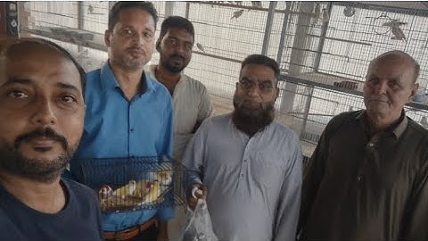 King of Mutation Java Sparrow RP Setup Visit || Subscriber Ko Gouldian Finch Or Java Dilai ||Birds