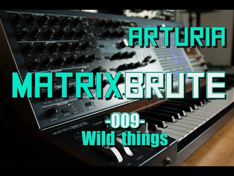 Arturia Matrixbrute // 009 - Wild things