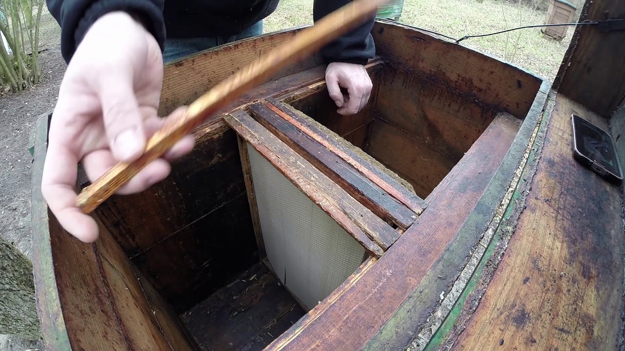 #4 Wilgoć w ulu, brak wentylacji, ruchoma dennica w Warszawskim Poszerzanym?