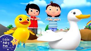 five little ducks little baby bum new nursery rhymes for kids