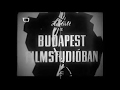 Budapesti kalauz