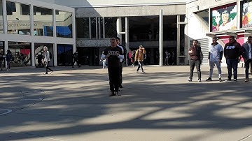 SFSU Lambda Theta Phi activity 3