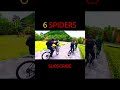 6 SPIDER-MAN Bros Meet TUNG TUNG TUNG Serbian #shorts #tungtungtungsahur #spiderman #viral