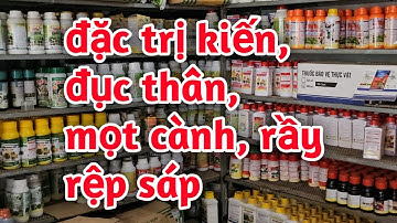 Hd634.Thuốc trị kiến rầy rệp sáp một cành đục thân