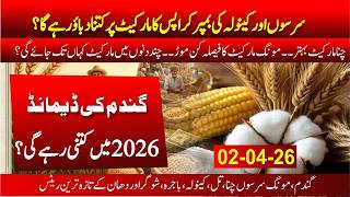 today wheat rate in punjab | Moong rate updated | guar rate | sugar mills rate | chana rate today