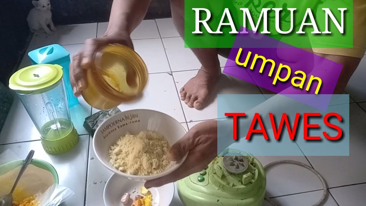RESEP UMPAN IKAN TAWES PALING JITU