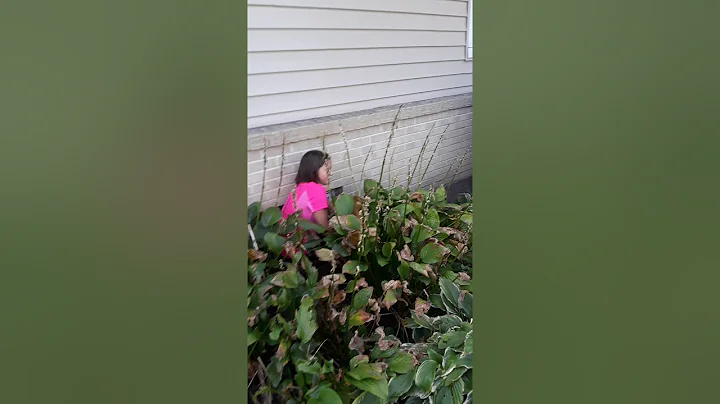Hide and seek *part 2*