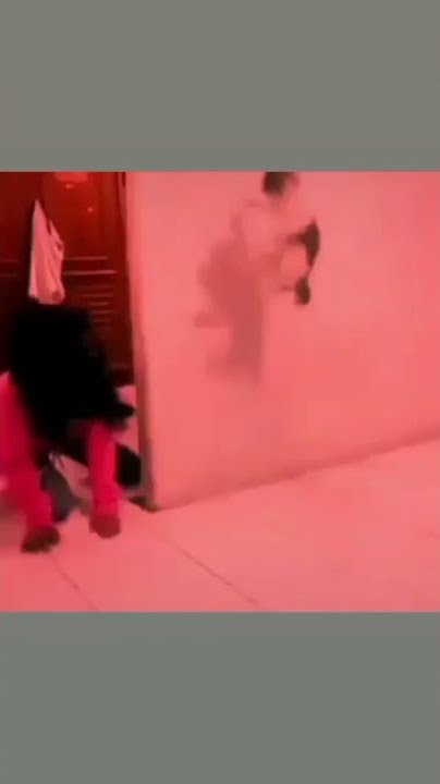 video lucu story WA kucing dikagetin  #videolucu #shorts #ngakak