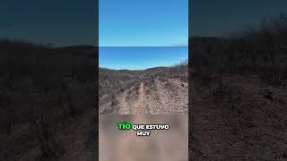 Cosecha de Ciruelas  Impacto de la Temporada Baja