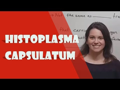 Histoplasmosis (Histoplasma capsulatum) Transmission and Infection