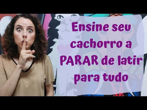 Vídeo: Como manter seu cão pequeno de latir muito