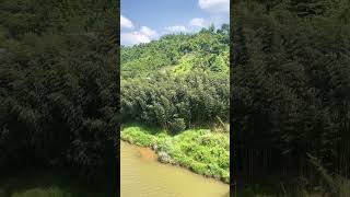 Meghalaya 🇮🇳 #riversounds #hills #meghalaya #oldsongs #trendingshort #pahad #viralmusic #fu #7x7