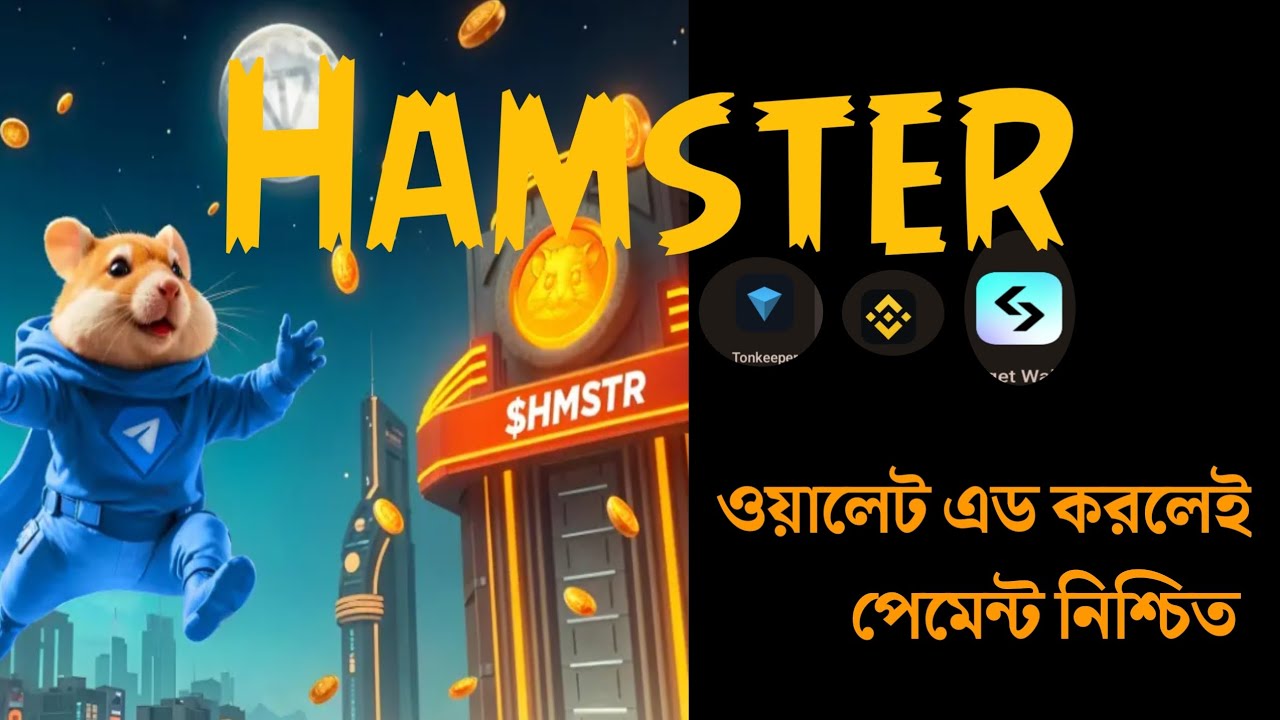 Hamster এ wallet এড করার নিয়ম। ২০২৪