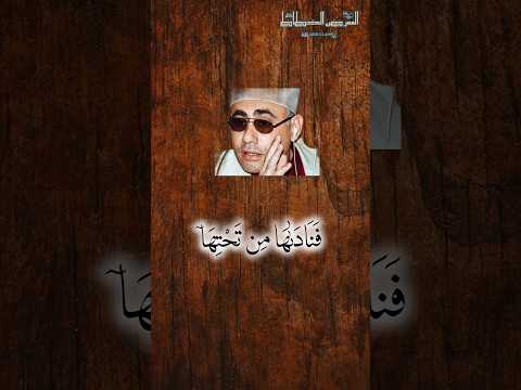 فناداها من تحتها ألا تحزني الشيخ عبدالناصر حرك القرآن الكريم Fyp Viral Foryou Fyp