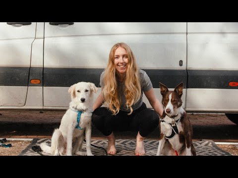 Βίντεο: Εκπληκτικά πράγματα που κάνουν οι κτηνίατροι που δεν μπορείτε να περιμένετε