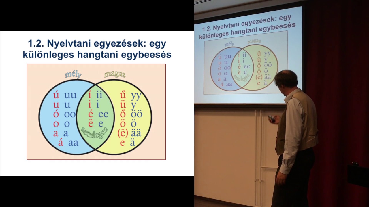 Pomozi Péter: A magyar nyelv finnugorsága: tények, kérdések, kutatási perspektívák