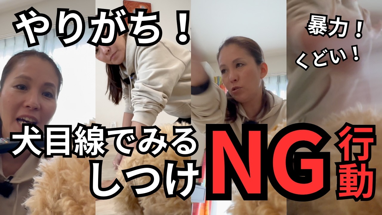 犬にNG行為やっちゃってない？
