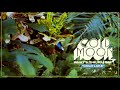 Cold Moon - New Song “Gold Lake” 