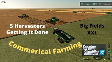 FS22 Big Fields XXL  Gameplay Harvesting Never Stops