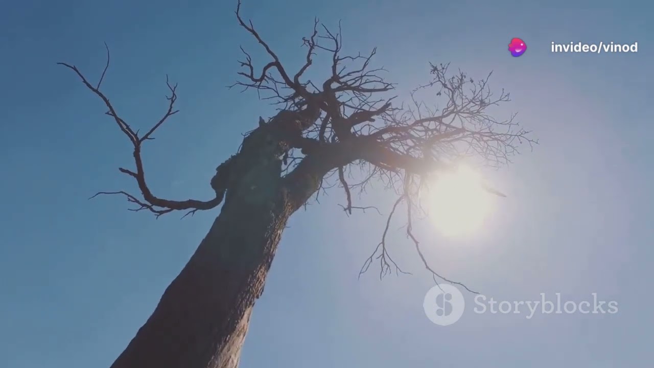 The Secret Life of Snag Trees: Nature's Unsung Heroes