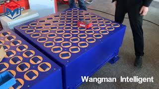 800EWS Test Wheel Sorter/Diverter/Pivot Sorter/Swivel Sorter/Roller Switch/Wave Sorter Conveyor