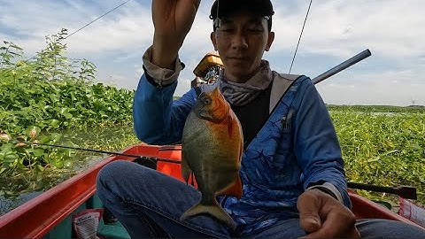 Cách Gỡ Lưỡi Câu Khi Bị Cá Nuốt Không Phải Ai Cũng Biết