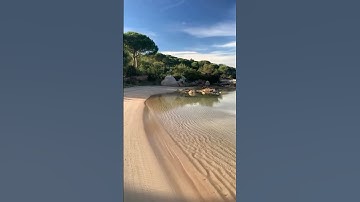 آيات من سورة القصص || القارئ محمد اللحيدان