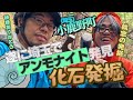 さいたまで恐竜時代の”アンモナイト”を遂に発見しました！！