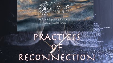 CORE COMPETENCIES FOR COLLAPSE - PRACTICES OF RECONNECTION