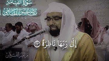 الشيخ ناصر القطامي || سورة القيامة كامله