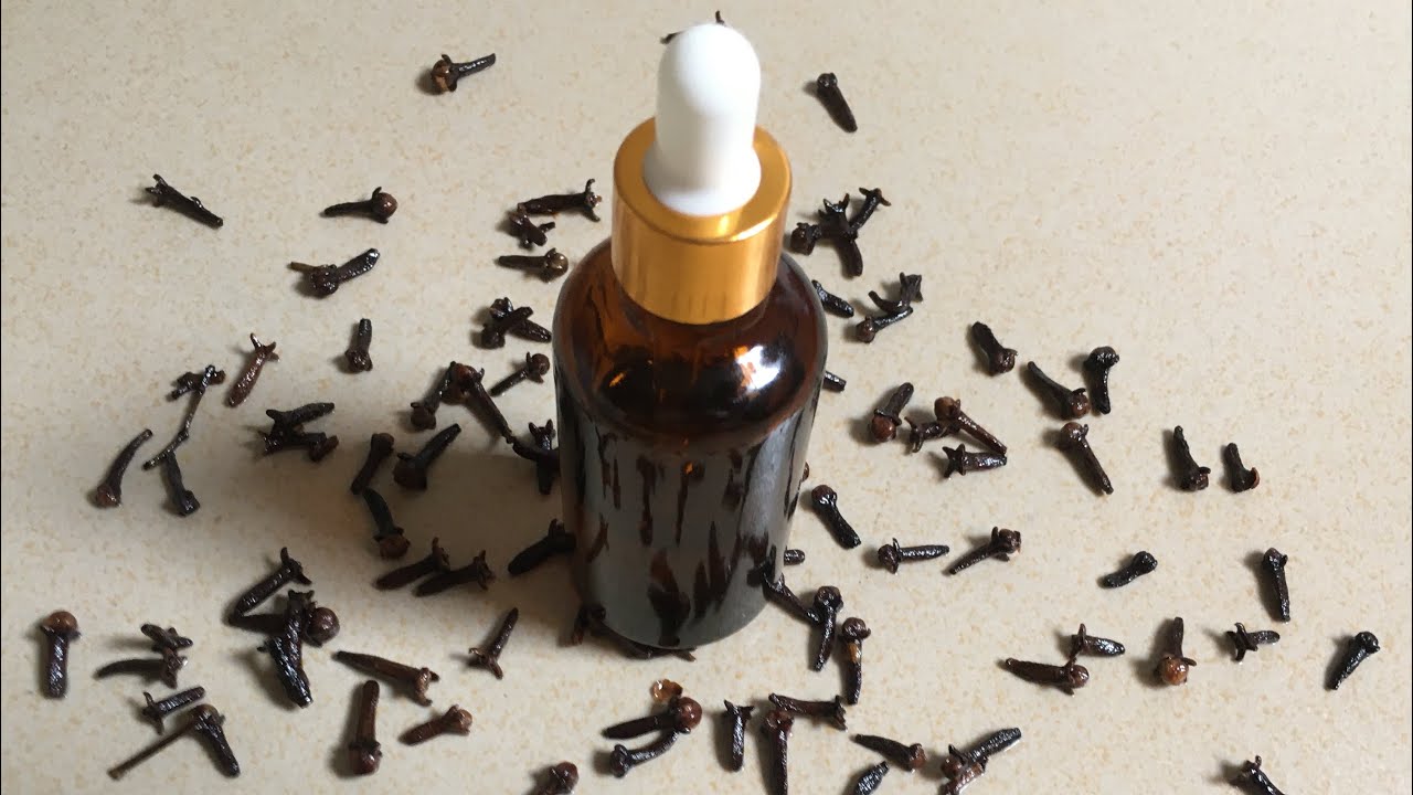 HOW TO MAKE CLOVE OIL AT HOME FOR HAIR, SKIN, TREATMENT OF TOOTHACHE