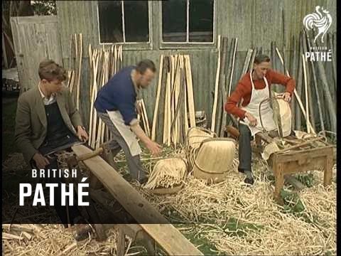 Trugs