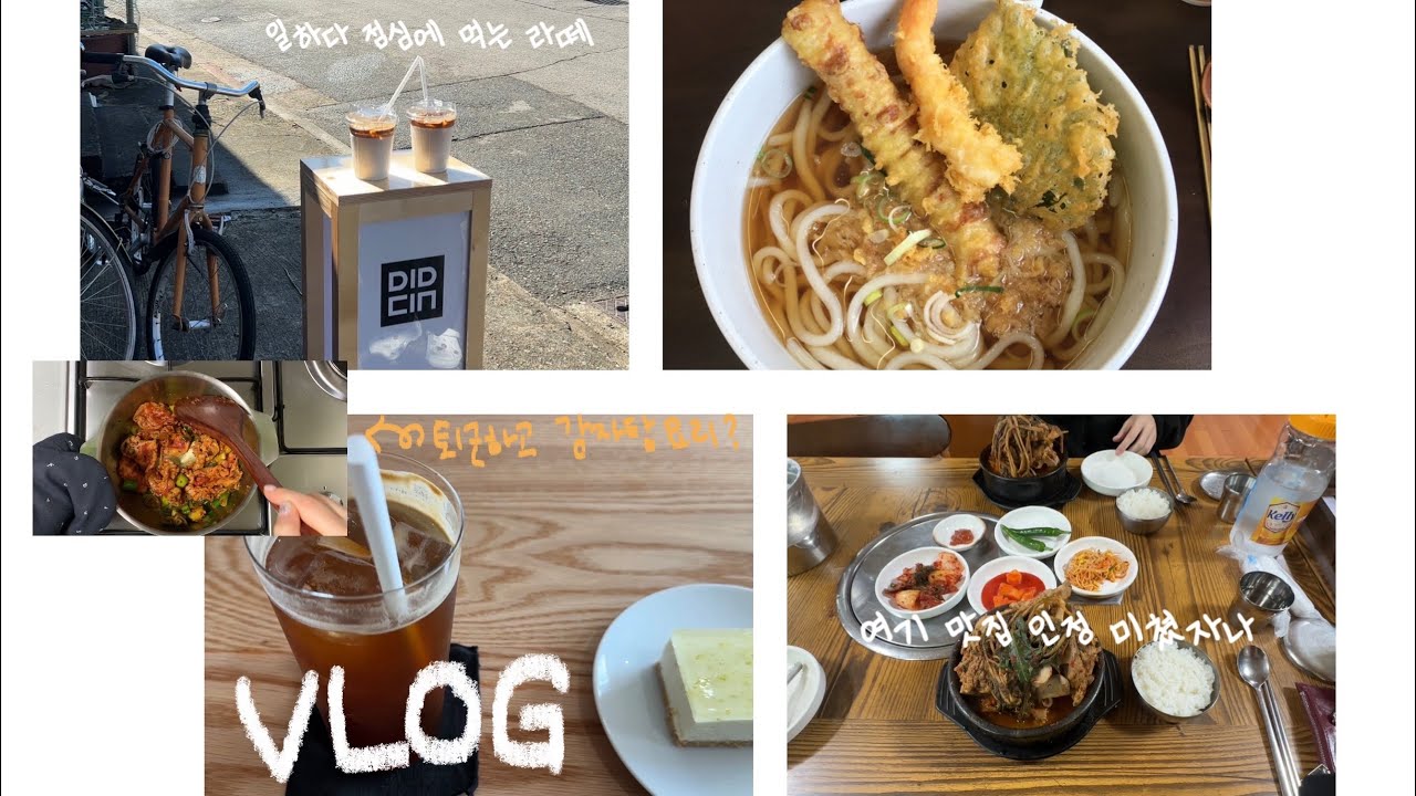 VLOG. 짧게 넘어가는 2월 일상 · 맛있는 우동 그리고 뼈해장국 · 부모님 선물도 드리고 퇴근하고 우삼겹감자탕 요리