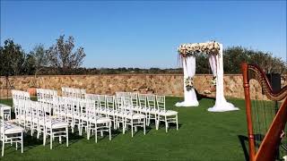 All You Need Is Love by The Beatles / Harp Cover / Bella Collina Grand Lawn highlights