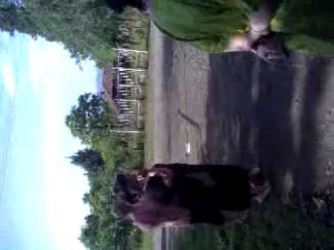 ძალიან გთხოვთ აკონტროლეთ თქვენი კიდურები :D :D :D