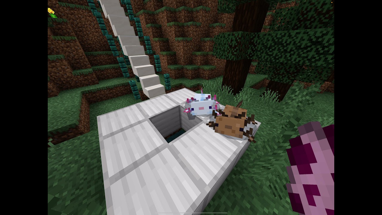 THE MOST EASIEST WAY TO GET THE BLUE AXOLOTL IN MINECRAFT BEDROCK EDITION - YouTube